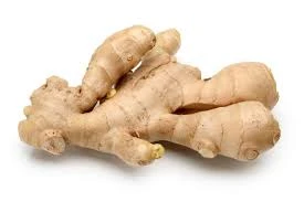 GINGER FRESH KG