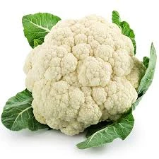 GUL CABBAGE KG