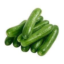 CUCUMBER LUX KG
