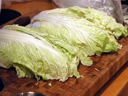 CHINESE CABBAGE