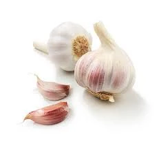 GARLIC KQ