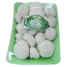 MUSHROOM PACKAGE 500 G