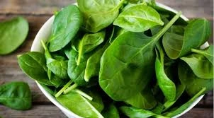 GREEN SPINACH