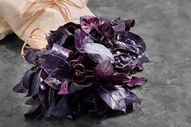 BLUE BLACK BASIL