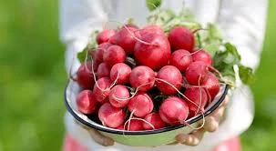 BLUE RADISH RED