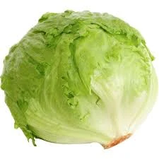 ICEBERG KQ