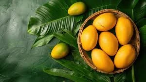MANGO KQ