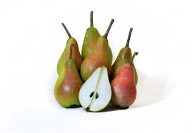 PEAR SANTA MARIA KQ