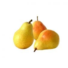 PEAR DUCHESS KQ