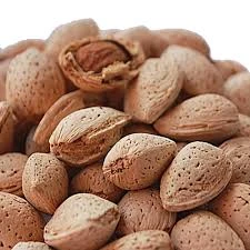 ALMOND SHELL KG