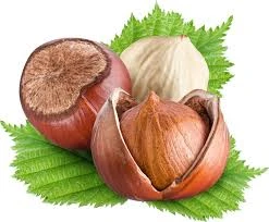 HAZELNUT KQ
