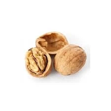 WALNUTS IN SHELL SUPER KG