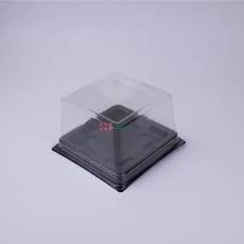 PR-T 138D PET Bento Dessert Container with Lid